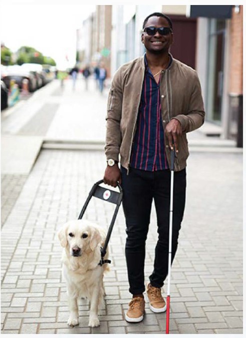 National Service Animals Monument