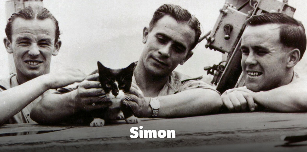 Simon - Dickin Medal Recipient