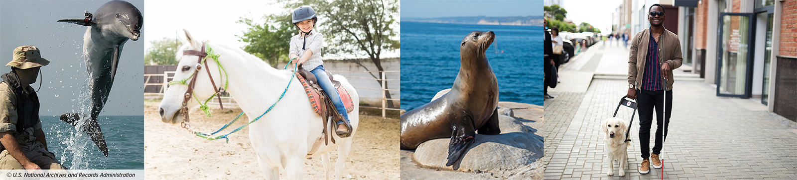 NSAM Fundraiser 2023