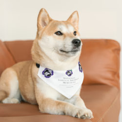 NSAM Logo Pet Bandana Collar