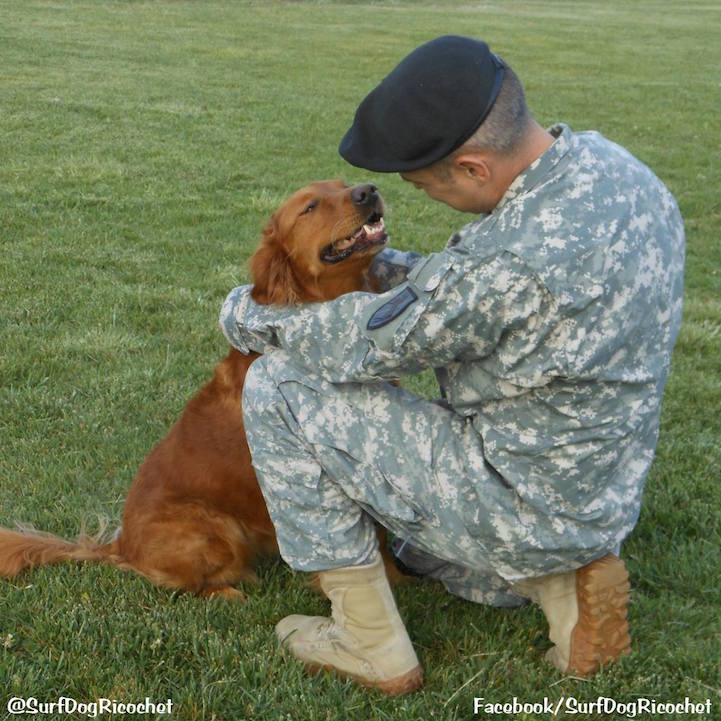 Ricochet Surf Dog with Veteran
