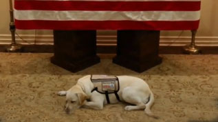 Sully at HW Bush's Funeral