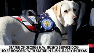 Sully George HW Bush