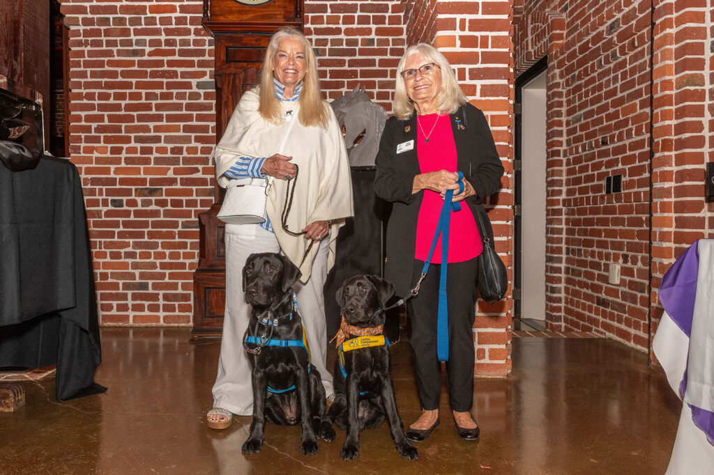 Purple Poppy Awards NSAM 2025