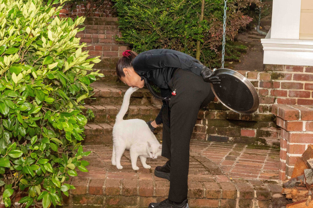 Purple Poppy Awards NSAM 2025