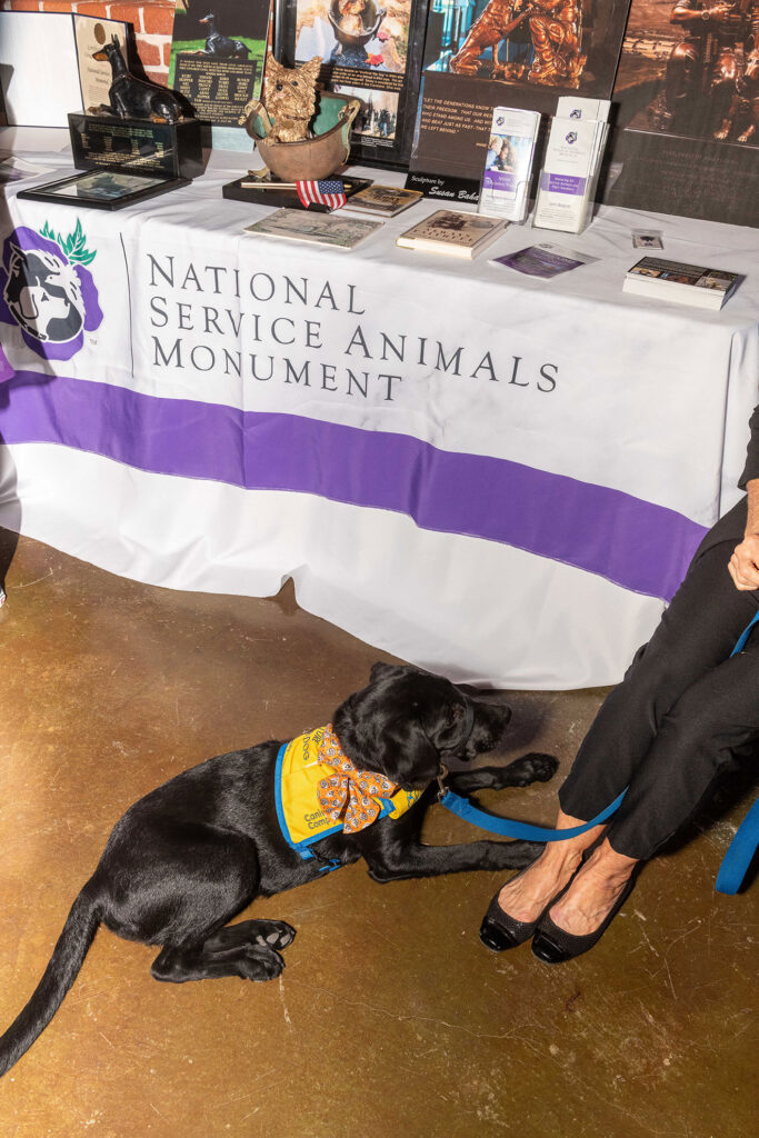 Purple Poppy Awards NSAM 2025