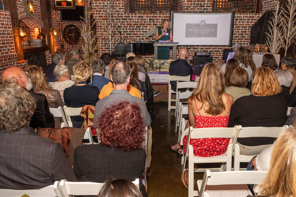 Purple Poppy Awards NSAM 2025