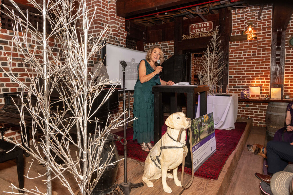 Purple Poppy Awards NSAM 2025