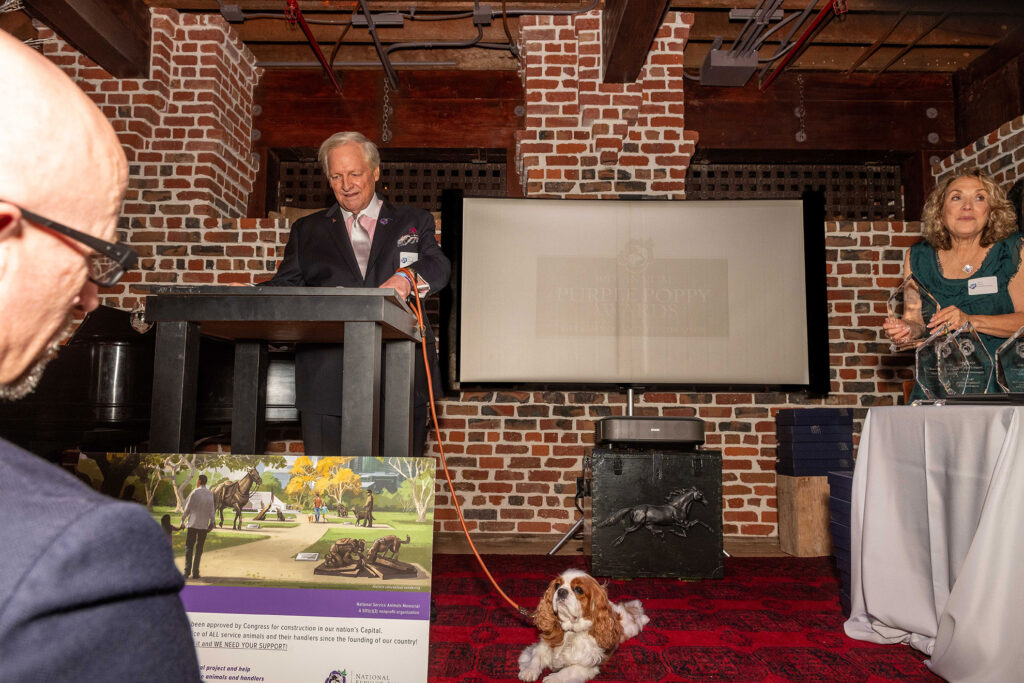 Purple Poppy Awards NSAM 2025