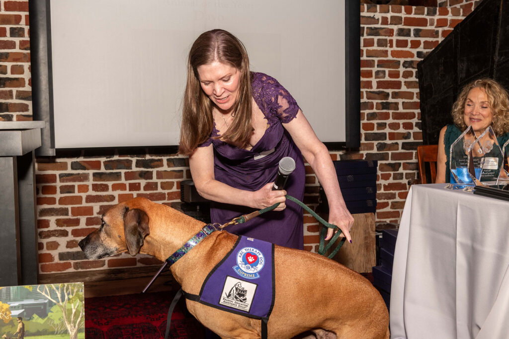 Purple Poppy Awards NSAM 2025