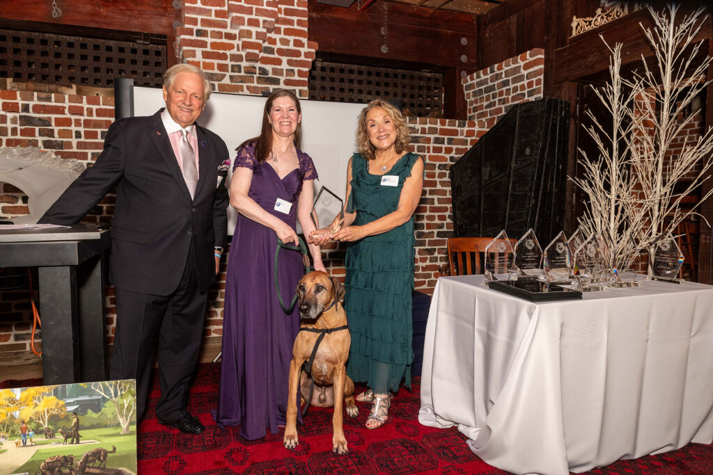 Purple Poppy Awards NSAM 2025