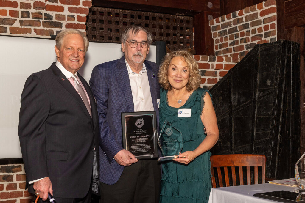 Purple Poppy Awards NSAM 2025