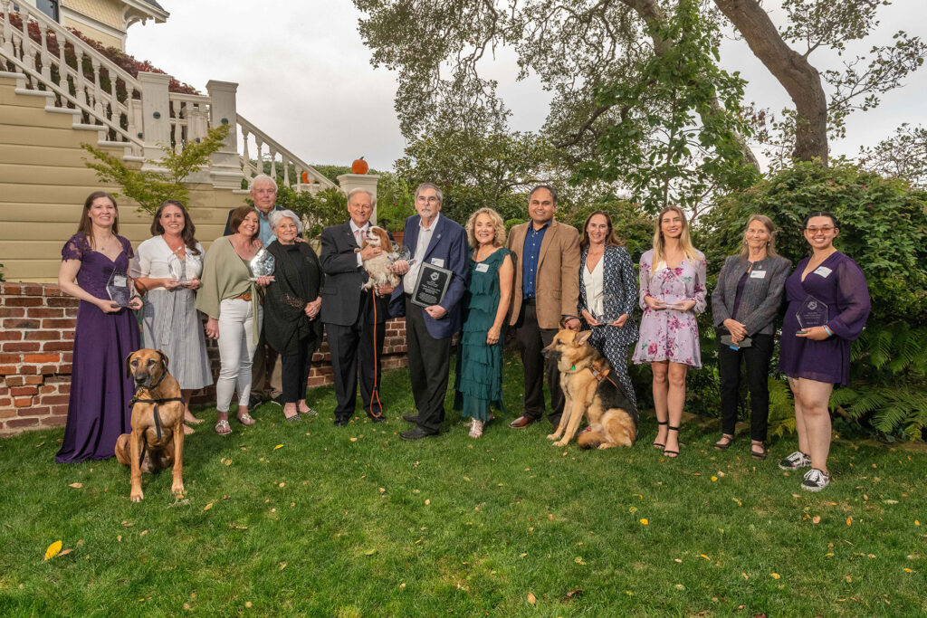 Purple Poppy Awards NSAM 2025