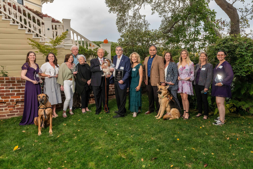 Purple Poppy Awards NSAM 2025