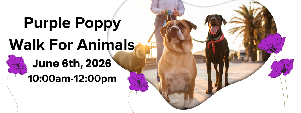 Purple Poppy Walk for Animals benefiting NSAM
