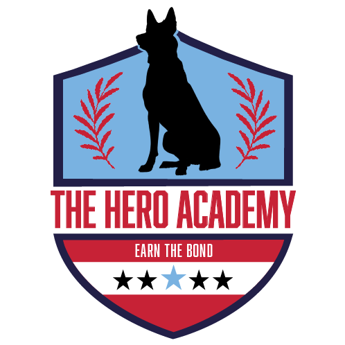 The Hero Academy