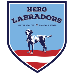 Hero Labradors