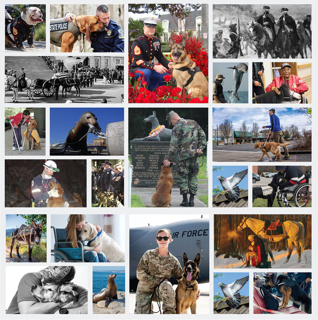 National Service Animals Collage